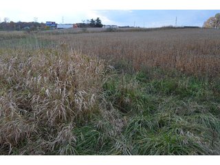 Property photo 22 - 127 Acres Offered in 8 Tracts - Allen & Dekalb County Land